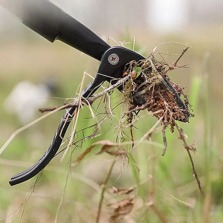 Abnehmbares Unkrautentfernungswerkzeug