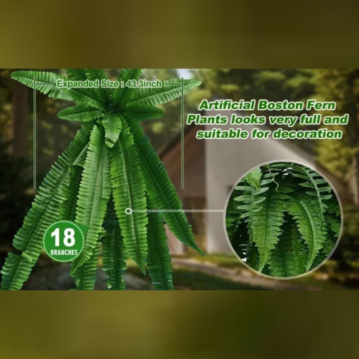 EverFoliage™ – Immergrüner Boston-Farn für ein natürliches Ambiente!