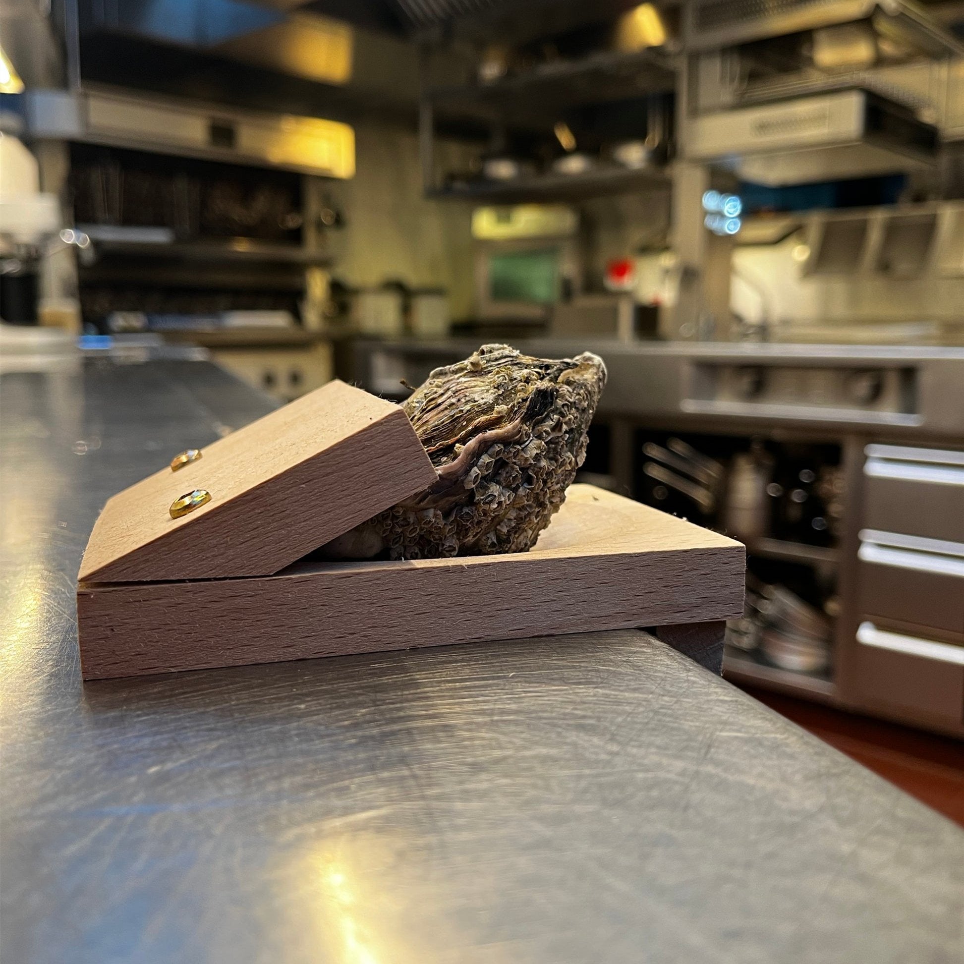 2+1 Gratis | Austernöffner-Klemme – sicheres und einfaches öffnen von austern