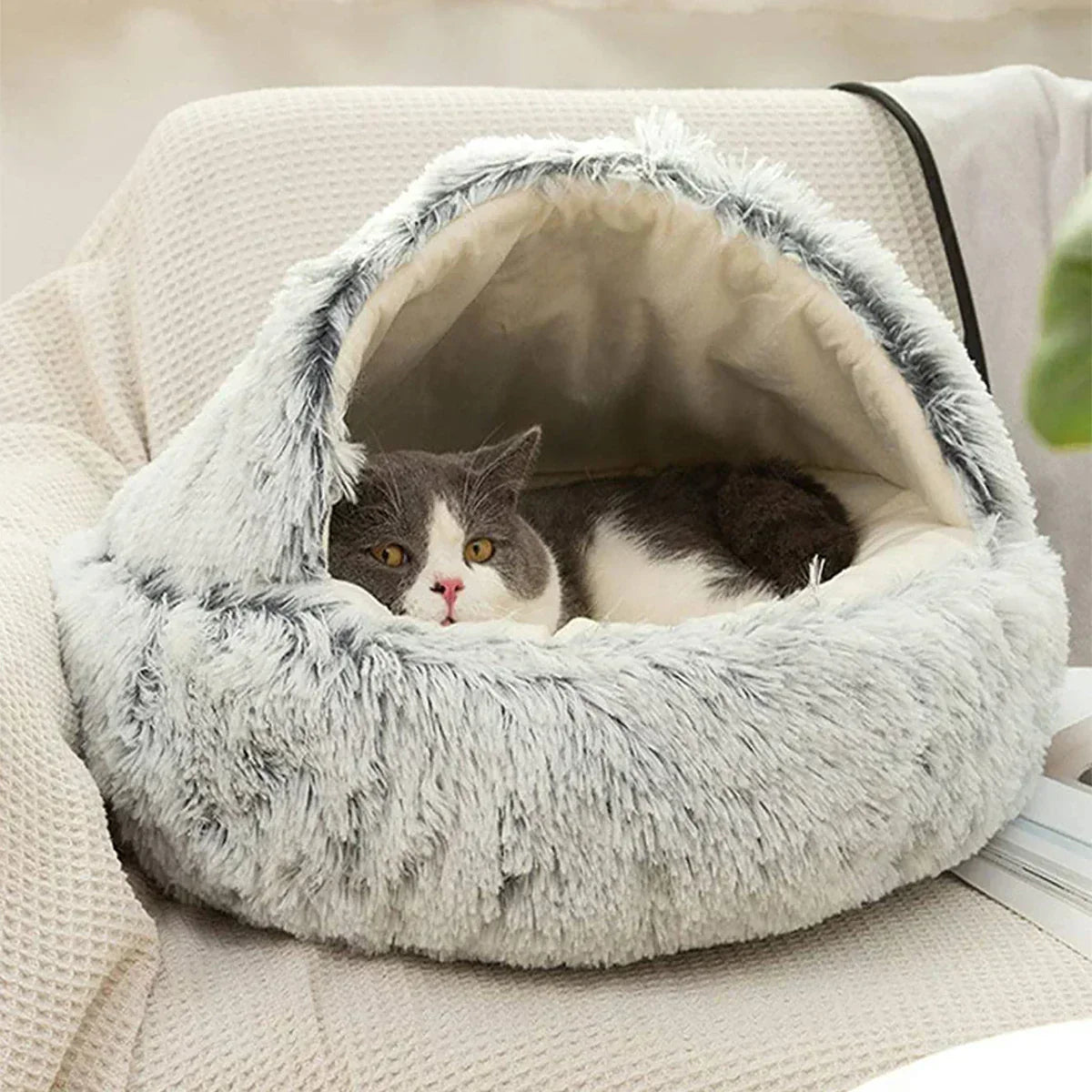CatBed™ - Plüsch Kapuzen Katzenkokon (50% RABATT)