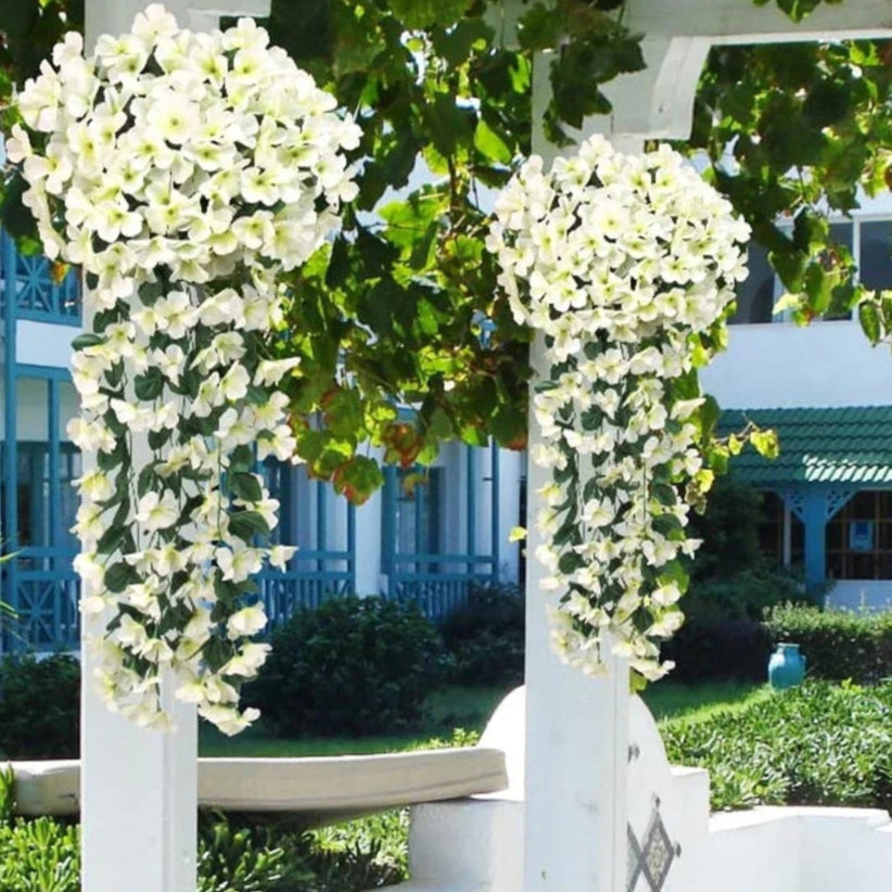 PlantGlow – Natürliche Eleganz, dauerhaft frisch