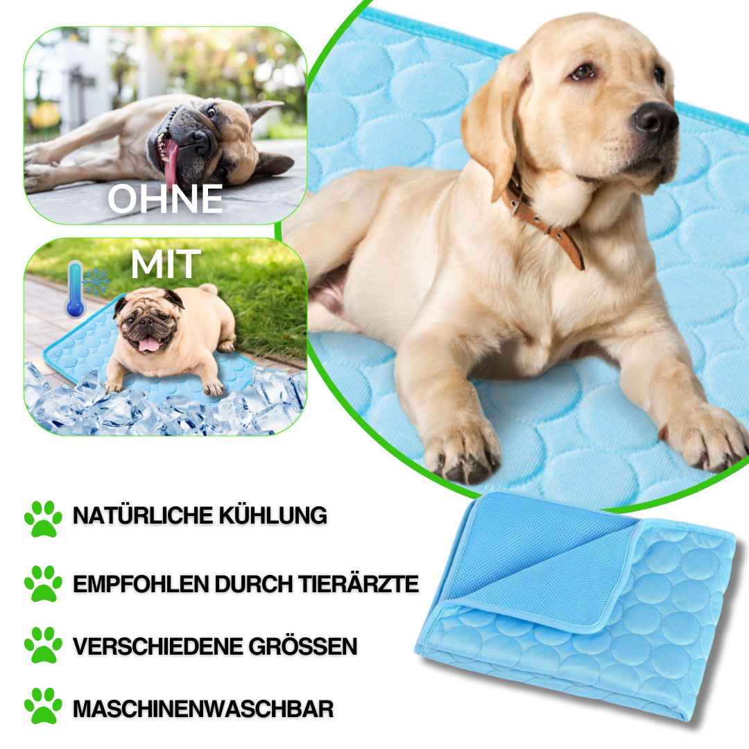 Kühlmatte Hund