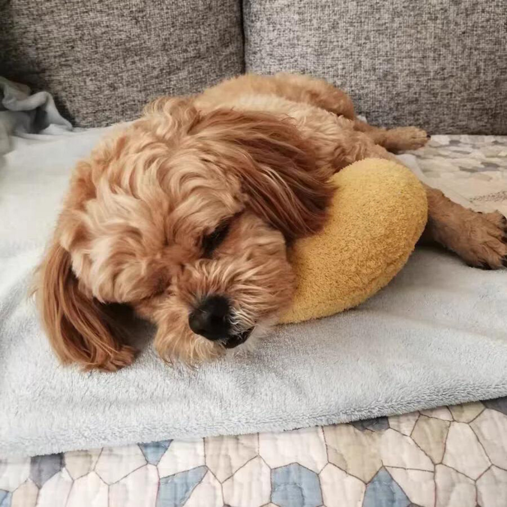 Beruhigendes Haustier-Kissen