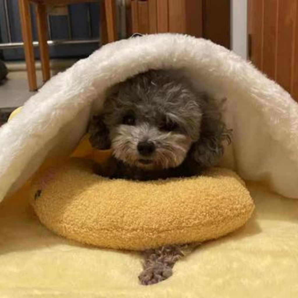 Beruhigendes Haustier-Kissen