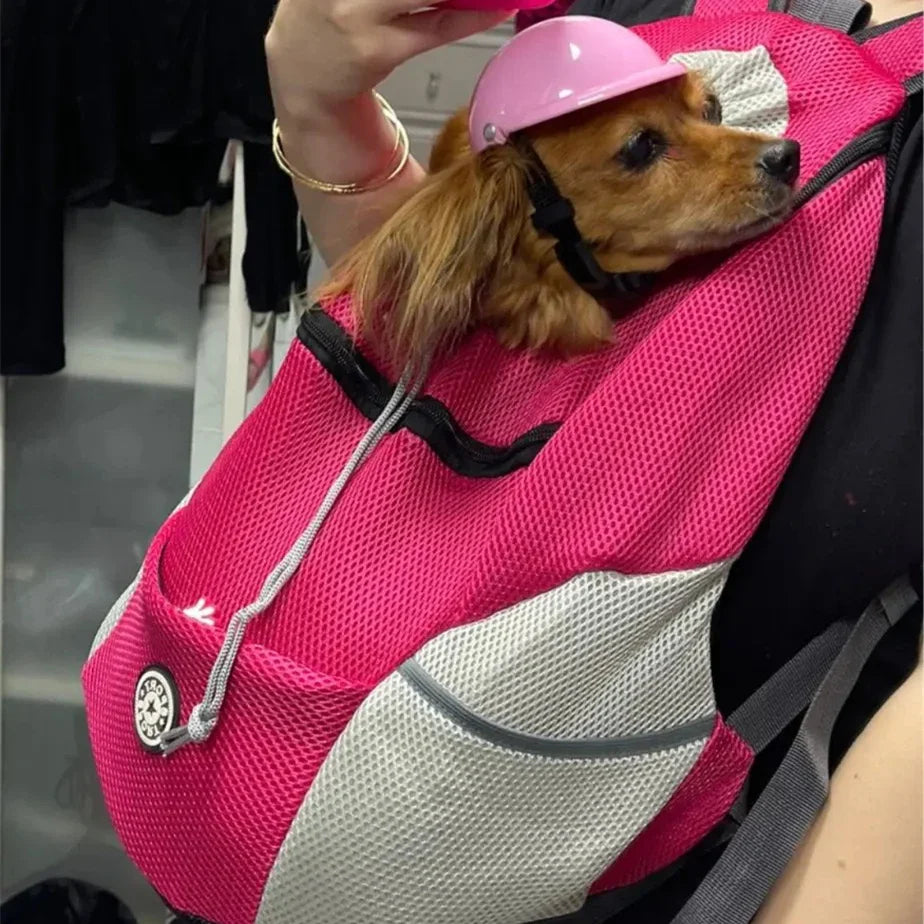 PetBuddy – Komfortable Hundetasche für sichere Abenteuer | 50% RABATT