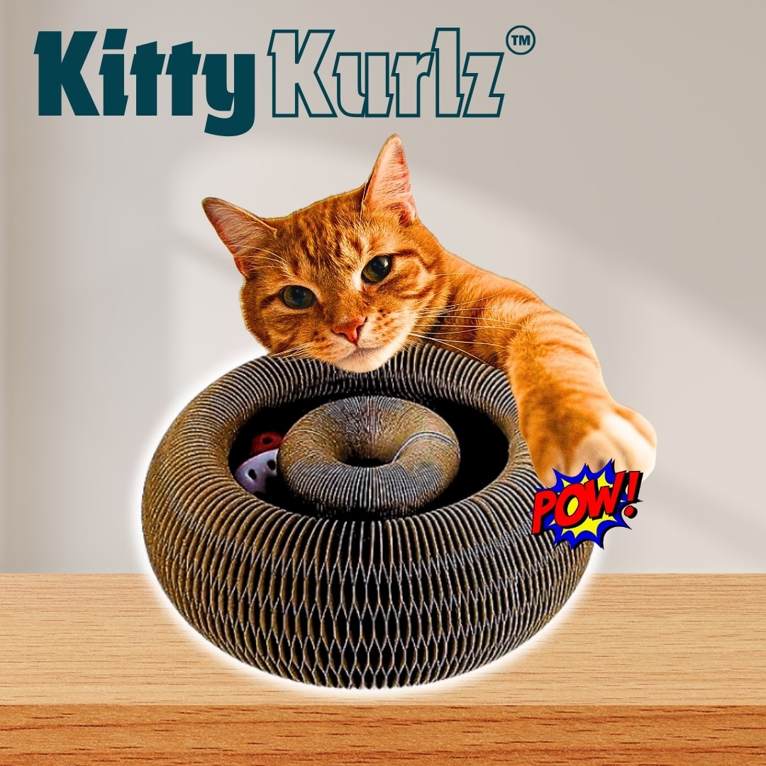 Kitty Kurlz | Magisches, organisches, faltbares Katzenspielbrett