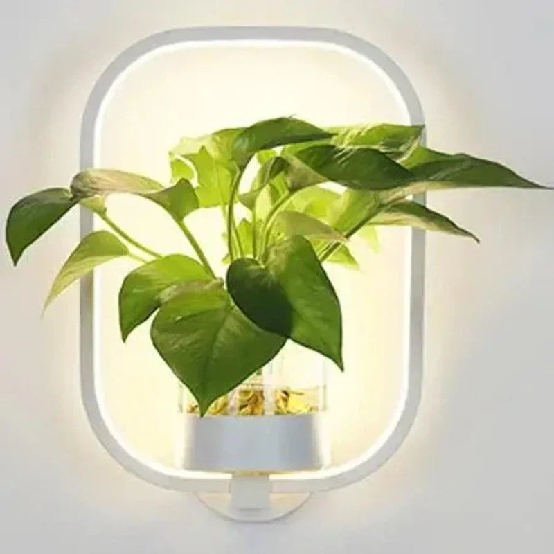 GlowPlant – Wandlicht mit Stil & integriertem Pflanzgefäß