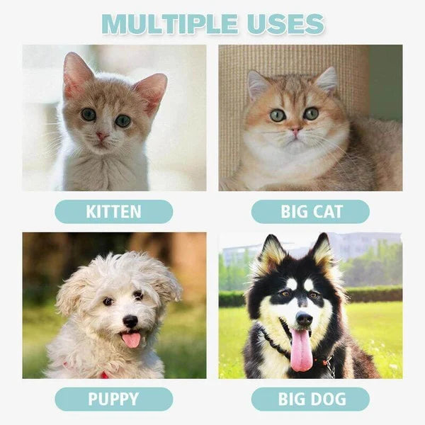 LightPaws™ – Sorgt bei jeder Fellpflege für ruhige und sichere Sitzungen