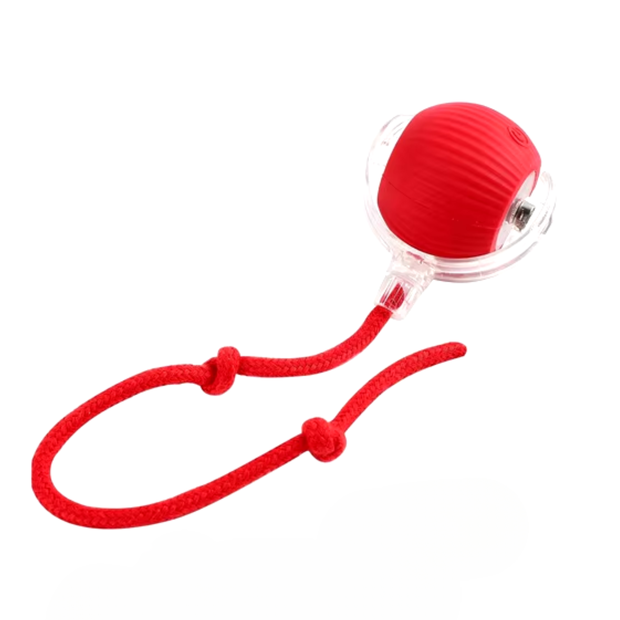 Magischer Hund Spielball