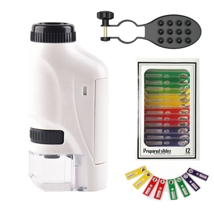 Tragbares Taschenmikroskop mit einstellbarem 60-120x Zoom