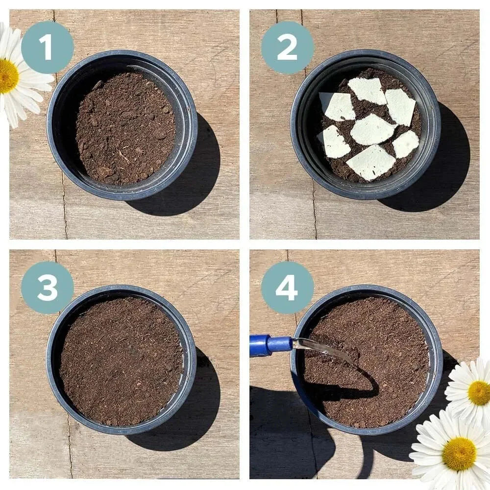 Umweltfreundlicher Pflanzbarer Saatkalender 2025 – Ganzjährig Wachsen