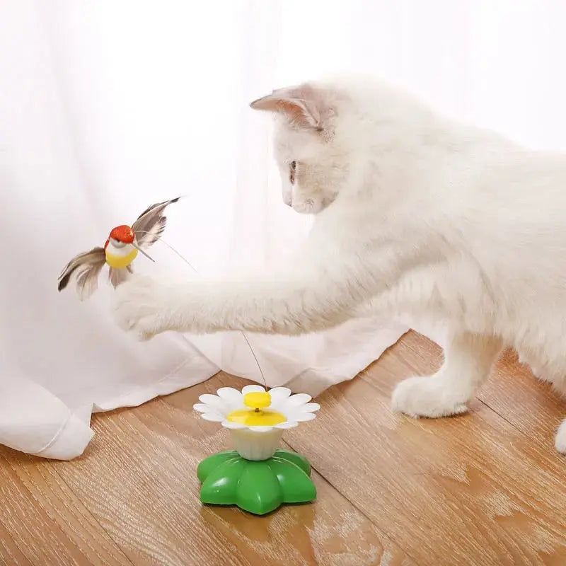 PetJoy® Elektrisches Vogelspielzeug für Katzen – Fördert Spiel, Bewegung und Glück!