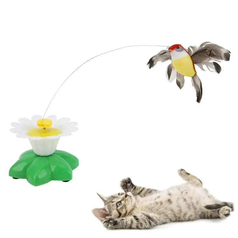 PetJoy® Elektrisches Vogelspielzeug für Katzen – Fördert Spiel, Bewegung und Glück!