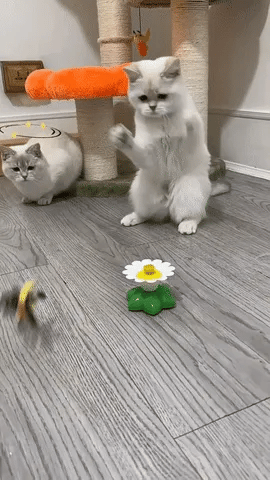 PetJoy® Elektrisches Vogelspielzeug für Katzen – Fördert Spiel, Bewegung und Glück!