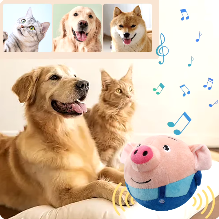 Das niedlichste Hundespielzeug für stundenlangen Spaß