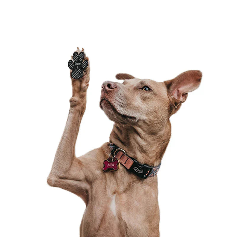 PawSafe - 4 Stück SAnti-Rutsch-Schutz-Aufkleber | 50% RABATT