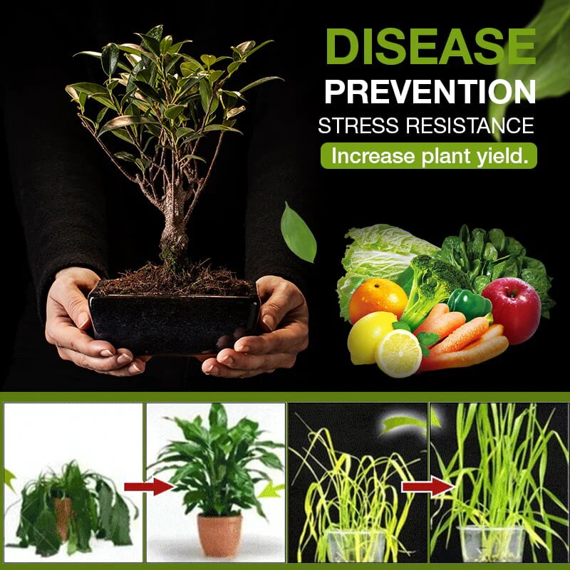 1+1 GRATIS | MagicGrow™