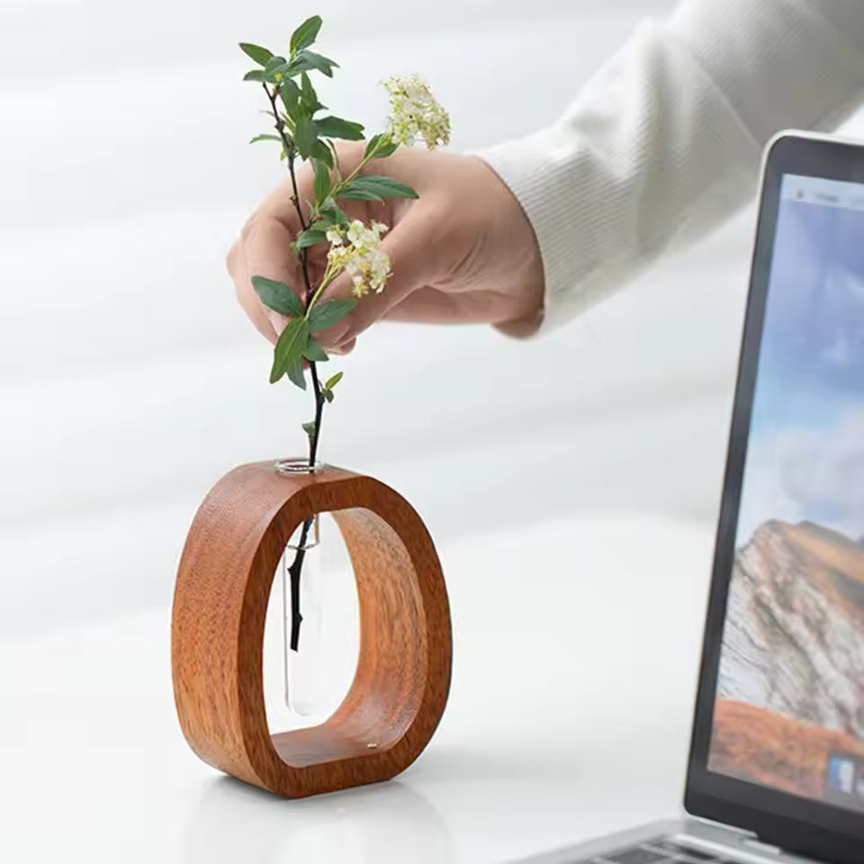 NaturLiora™ | Bringt Leben und Stil in Ihr Zuhause