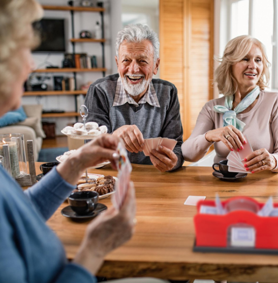 ShufflePro™ - Premium Kartenschüttler