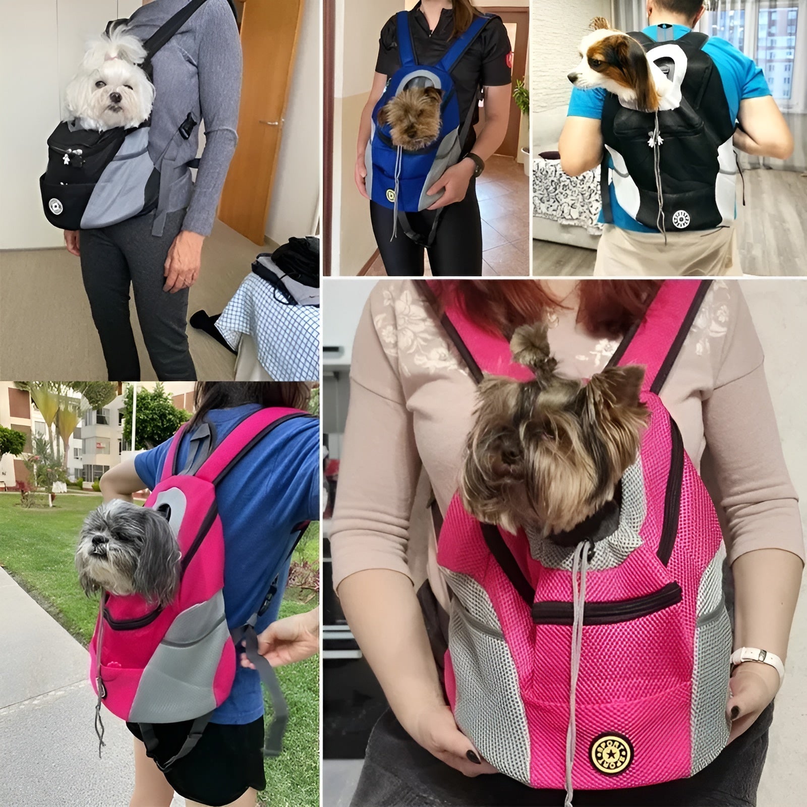 FluffCarrier - Stressfreie Outdoor-Abenteuer für Ihren Hund | 50% RABATT