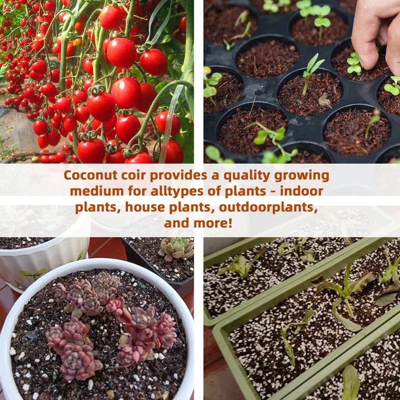 2+1 GRATIS |Premium Bio-Kokoserde Ziegel – Natürliches Pflanzenwachstum fördern