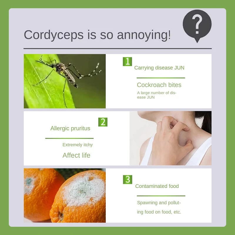 10+10 GRATIS | NaturShield™ Genieße mückenfreie Momente mit reinem, sanftem Schutz für die ganze Familie