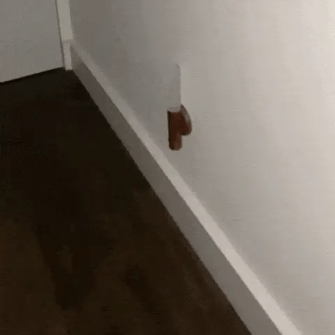 Aldorian™ 💡Intelligente tragbare Wandleuchte mit Menschenkenntnis💡