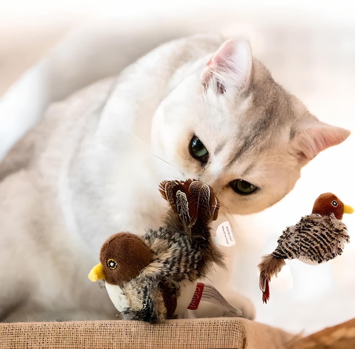 BirdHunting - Lassen Sie den natürlichen Jagdinstinkt Ihrer Katze aufblühen!