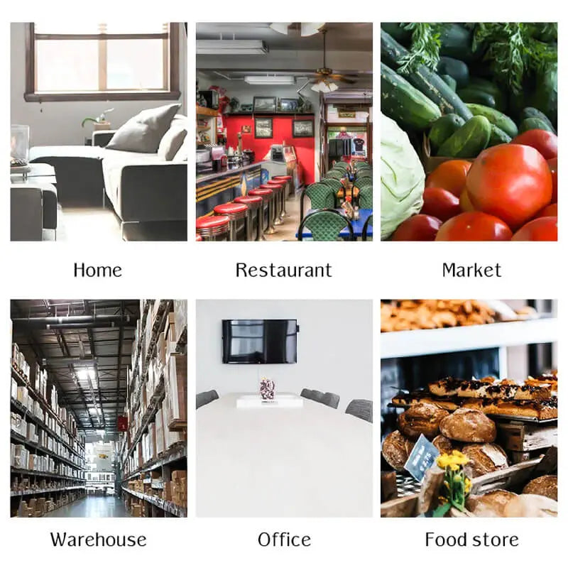 GlideTrap™ – Mühelose Mäusekontrolle für ein friedliches, schädlingsfreies Zuhause