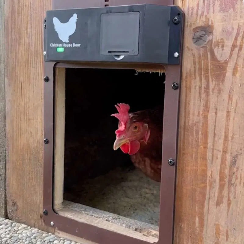 Automatische Hühnerstalltür | Mit Lichtsensor | Wetterfest & Sicher