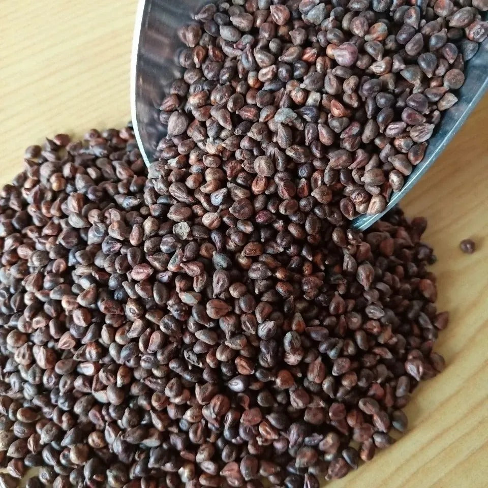 Samen für kernlosen Weintraubenbaum – Pflegeleicht & kein Spalier erforderlich