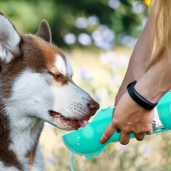 DogViva™ — Sofortige Hydratationsfreiheit für glückliche, energiegeladene Hunde