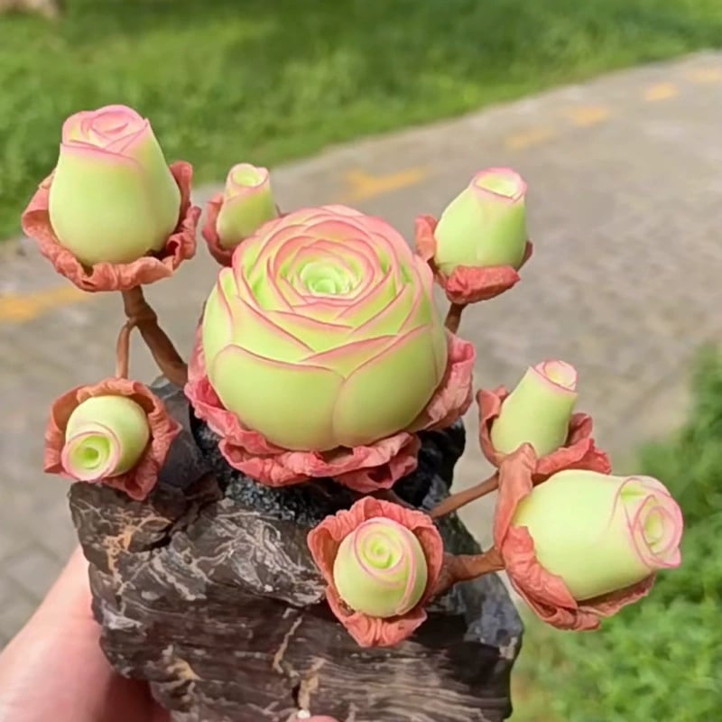 RoseVale™ Sukkulenten-Samen – Atemberaubendes Rosenförmiges Grün, Das Vernachlässigung Gut Verträgt