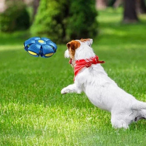 FurryFlyer™ - Der Scheibenball für Hunde 1+1 GRATIS