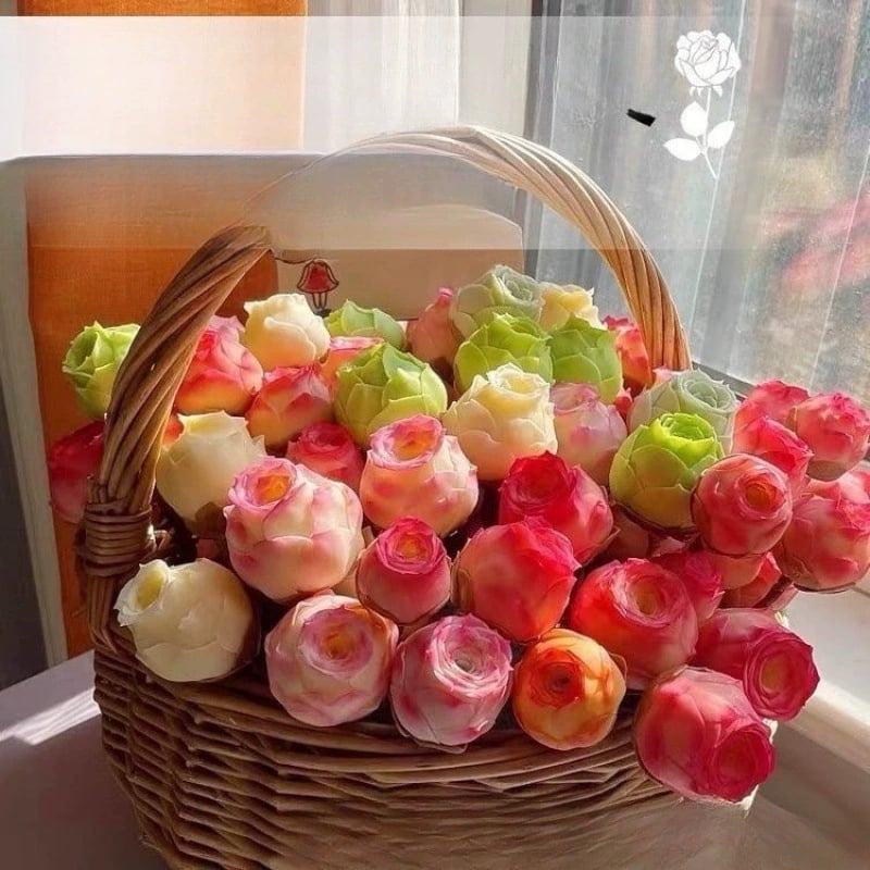 RoseVale™ Sukkulenten-Samen – Atemberaubendes Rosenförmiges Grün, Das Vernachlässigung Gut Verträgt