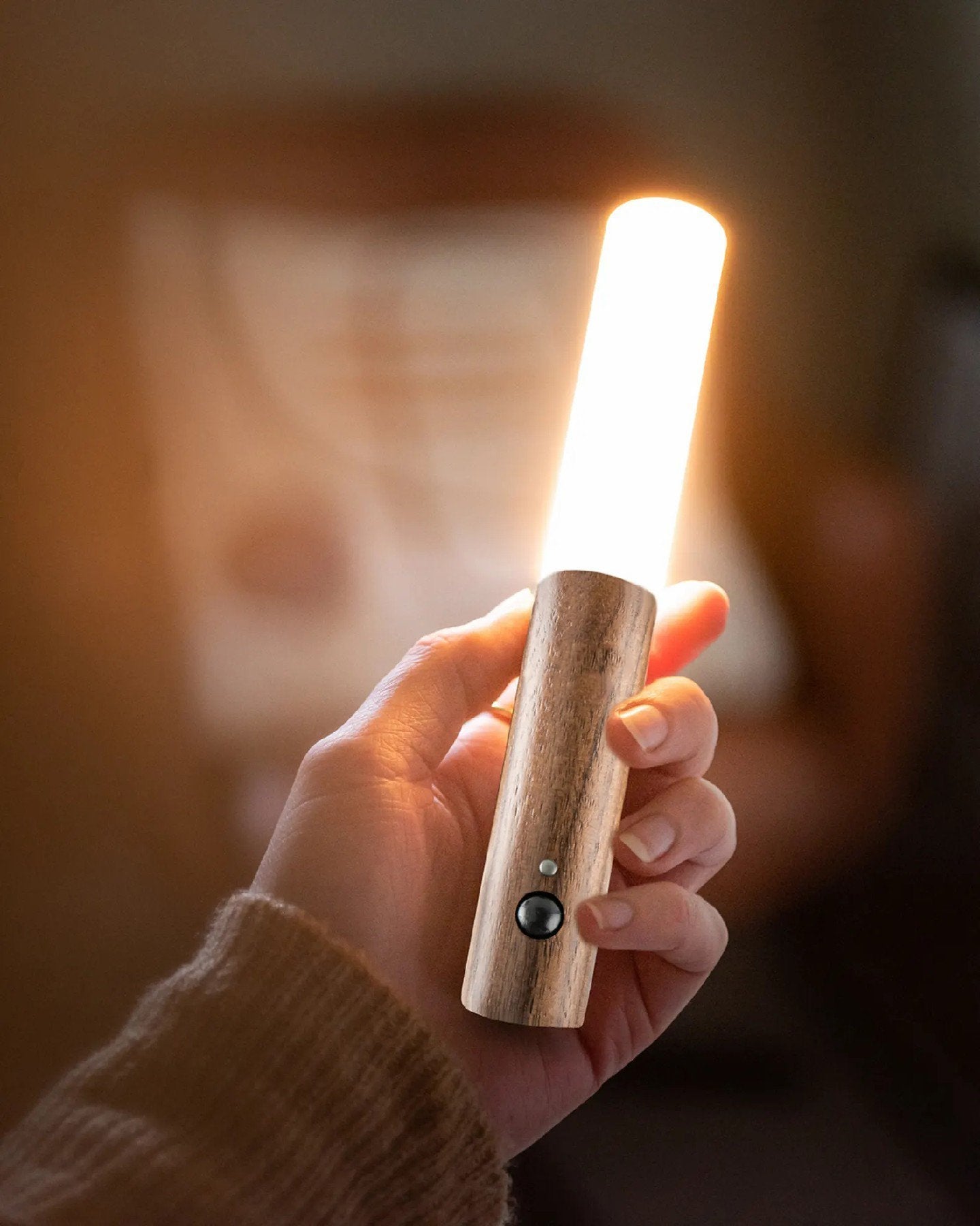 Aldorian™ 💡Intelligente tragbare Wandleuchte mit Menschenkenntnis💡