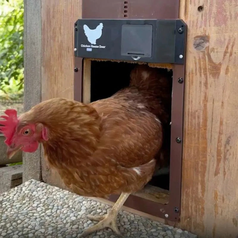 Automatische Hühnerstalltür | Mit Lichtsensor | Wetterfest & Sicher
