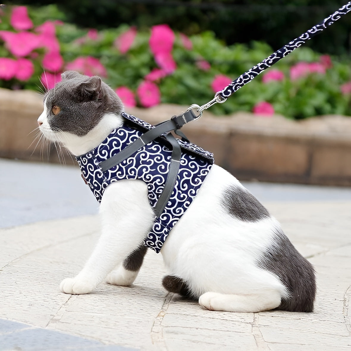 VenturaFlex™ - Sicherheitsgurtschloss für maximale Sicherheit | 50% RABATT