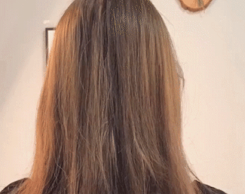 1+1 GRATIS | EasyPin™ | Faule Haarspule Pferdeschwanz Haarnadel