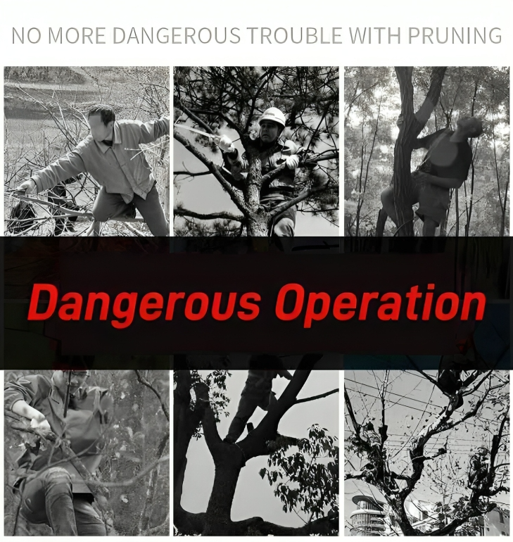 TreeTrim - Hohe Äste sicher vom Boden schneiden!