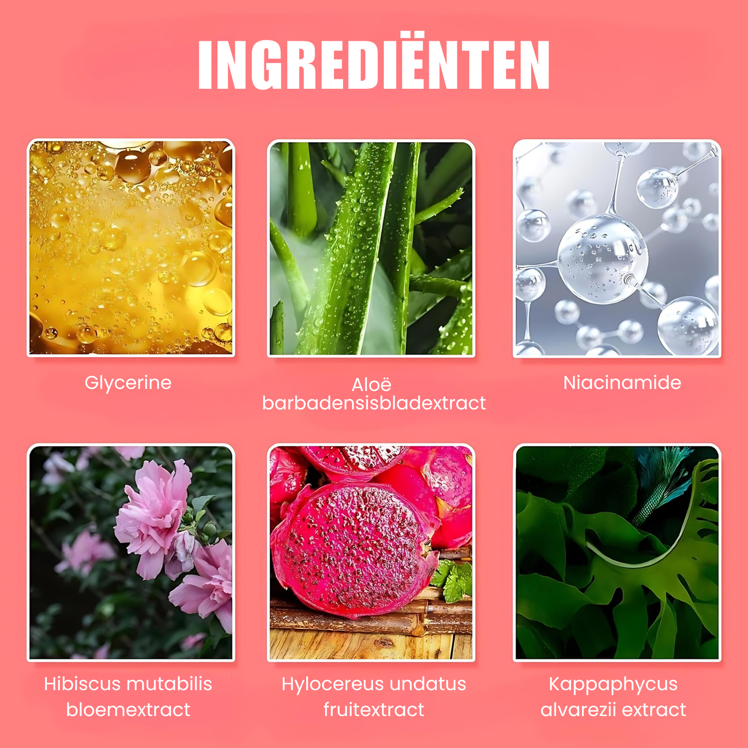 Wasser-Gelee-Tönungsstift