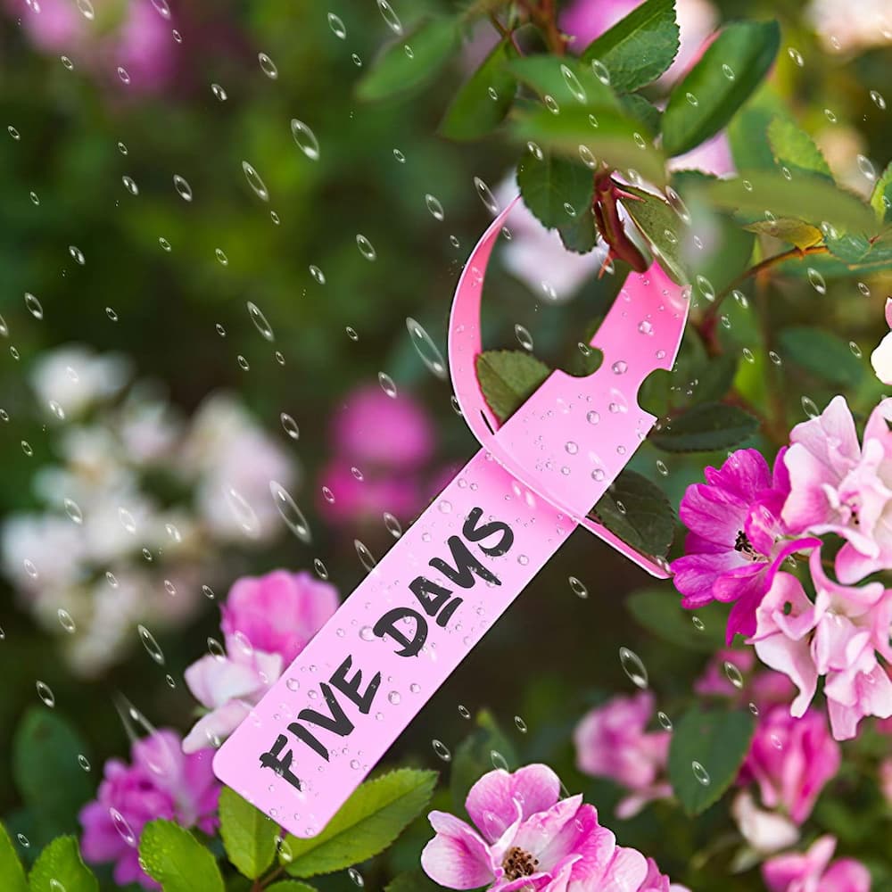 50+50 GRATIS | LabelGarden – Pflanzen einfach markieren & organisiert halten!