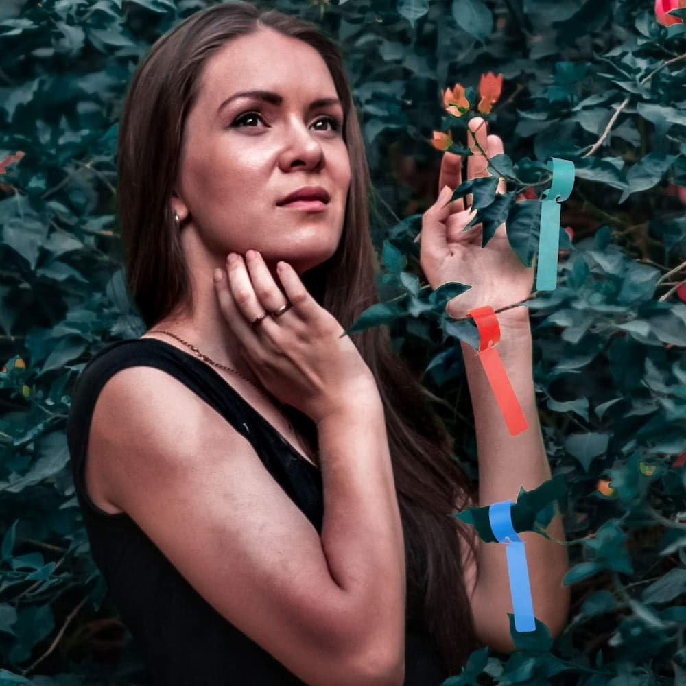 50+50 GRATIS | LabelGarden – Pflanzen einfach markieren & organisiert halten!