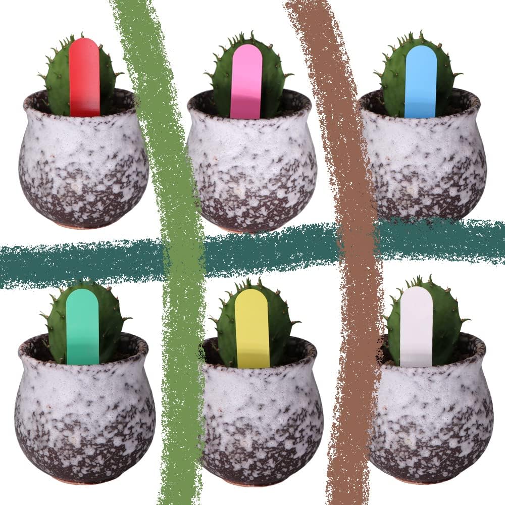 50+50 GRATIS | LabelGarden – Pflanzen einfach markieren & organisiert halten!