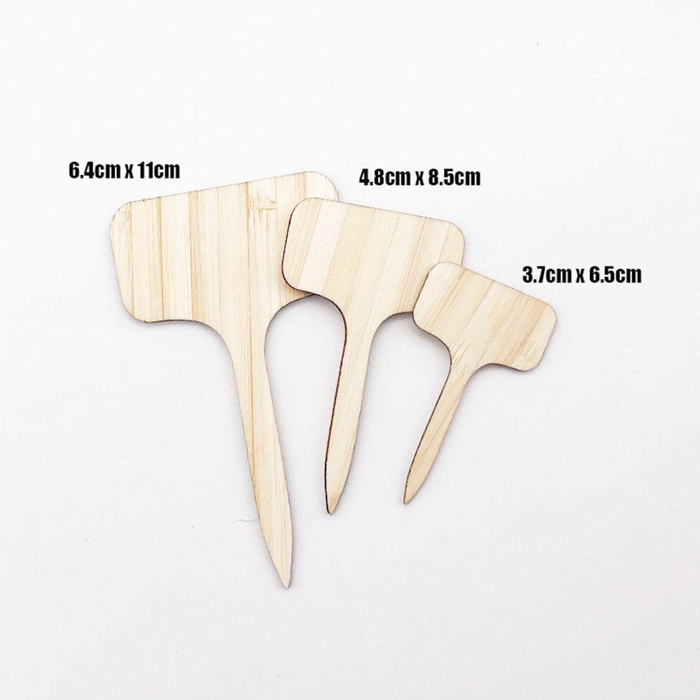 PlantSign – Pflanzenschilder aus Bambus für Garten & Deko