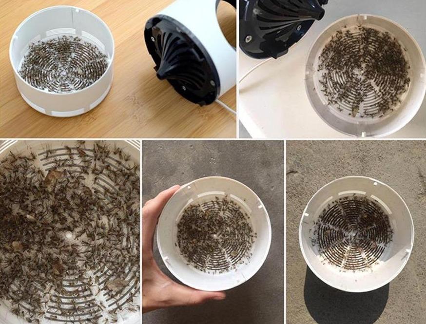 Sting Free™ | Elektrische Mückenvernichtungslampe