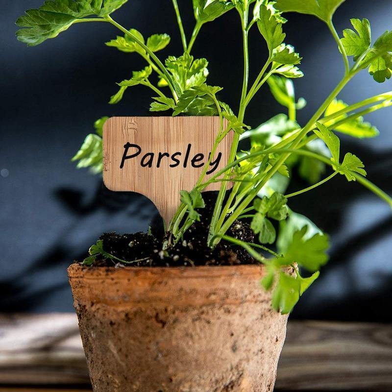PlantSign – Pflanzenschilder aus Bambus für Garten & Deko
