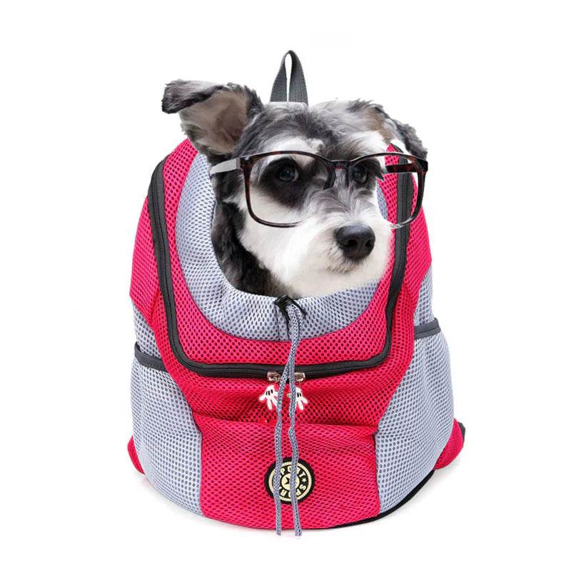 PetBuddy – Komfortable Hundetasche für sichere Abenteuer | 50% RABATT