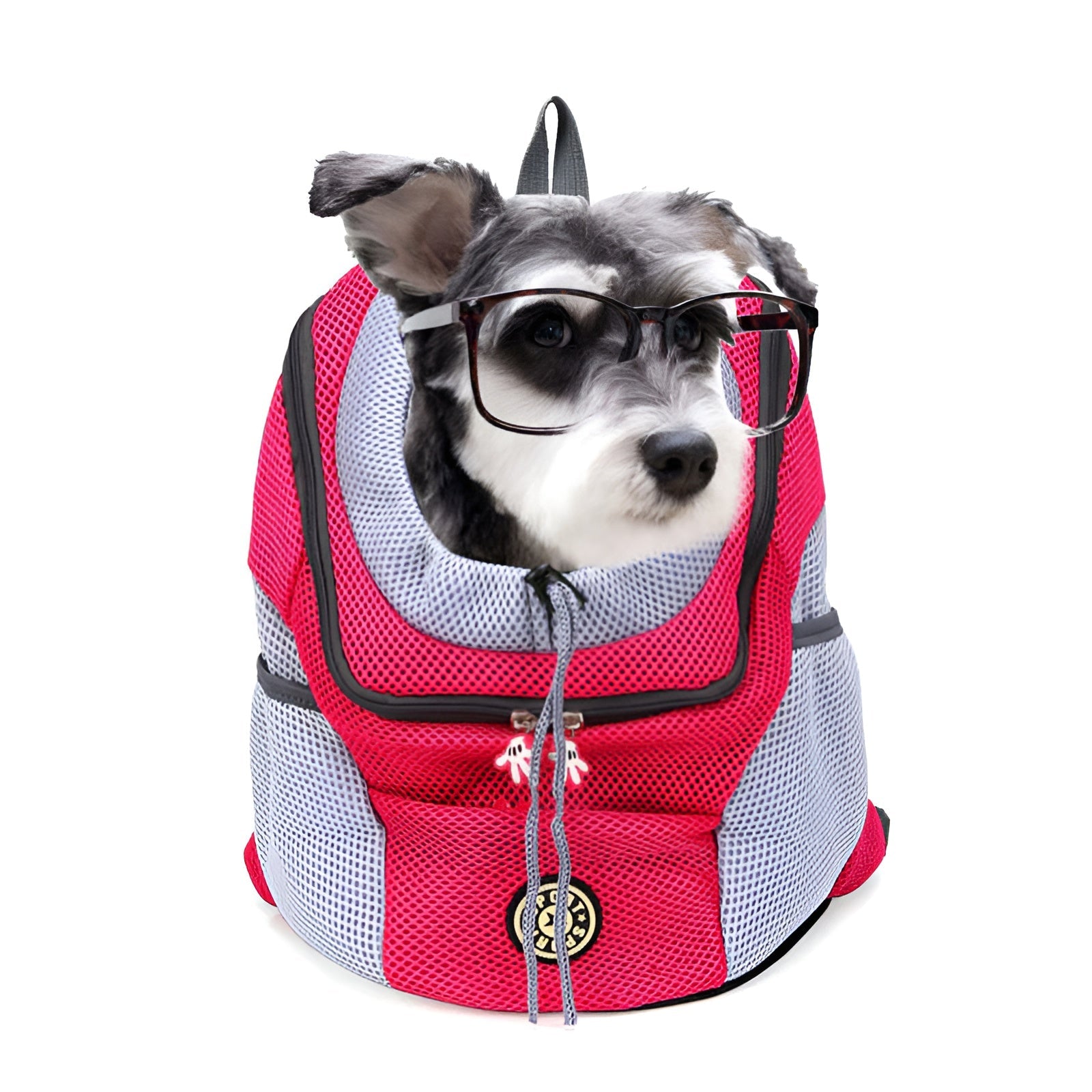 PetBuddy – Komfortable Hundetasche für sichere Abenteuer | 50% RABATT