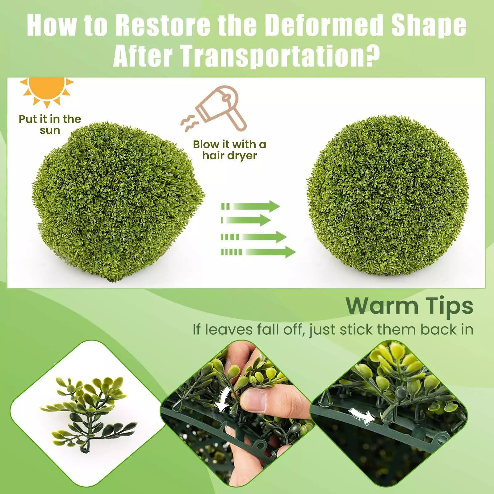 1+1 GRATIS | GreenSphere – Immergrüner Charme für Haus & Garten